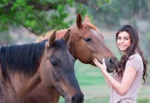 El mundo animal, más que compañeros fieles, fuentes de bienestar - Itagüí Hoy