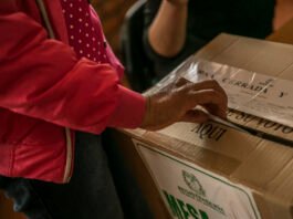 jornada electoral presidencial