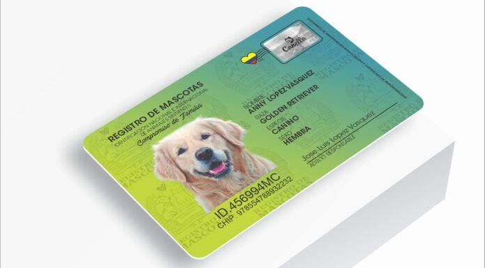 ¡Tu mascota también tendrá cédula digital! La Estrella habilita registro en línea Tu mascota también tendrá cédula digital