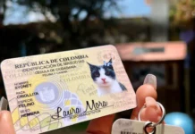 ¡Tu mascota también tendrá cédula digital! La Estrella habilita registro en línea ¡Tu mascota también tendrá cédula digital!