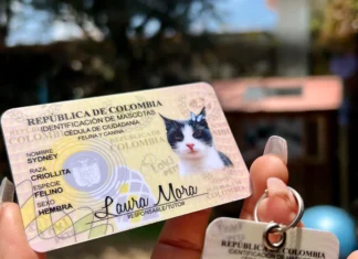 ¡Tu mascota también tendrá cédula digital! La Estrella habilita registro en línea ¡Tu mascota también tendrá cédula digital!